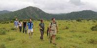 Walking safari
