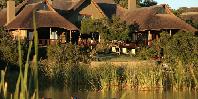 Hippo pool