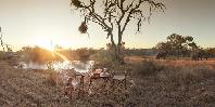 Waterhole