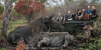 Game drive
