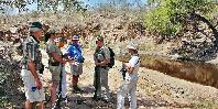 Bush walk