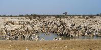 Etosha Etosha