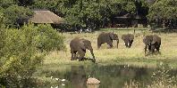Lodge visitors