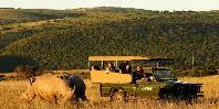 Game drive