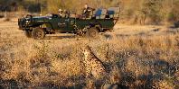 Game drive