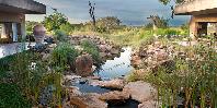 Water Feature