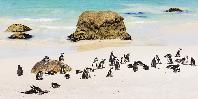 Boulders Beach Boulders Beach