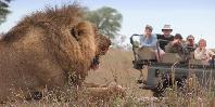 Idube Game Drive