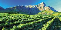 Franschhoek Franschhoek