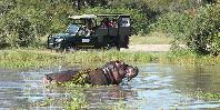 Kruger National Park Kruger National Park