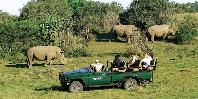 Kariega game drive Kariega game drive