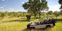 Game drive