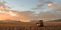 Game Drive in Namib Rand Game Drive in Namib Rand
