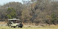 Game drive
