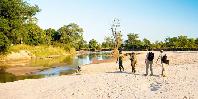 Walking safari