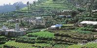 Nuwara Eliya