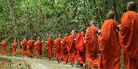 Monks Monks