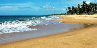 Beach Beach
