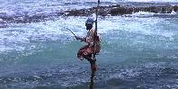Stilt fisherman Stilt fisherman