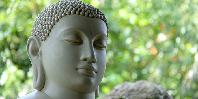 Buddah Buddah