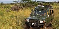 Serengeti Game Drive