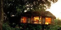 Treehouse