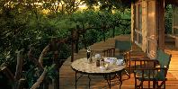 Treehouse deck