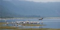 Lake Manyara