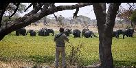 Tarangire National Park