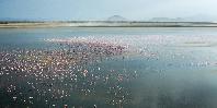 Lake Manyara