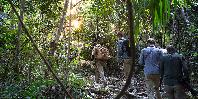 Trekking