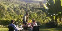 Relax in the garden