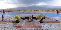 Firepit and Pool