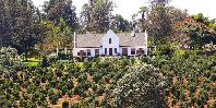 View of Cottages