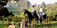 Horse riding