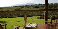 View from verandah