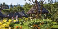 Lovely gardens