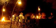 Dining by campfire