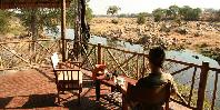 View from verandah