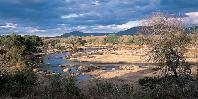 Ruaha River