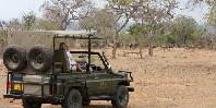 Game drive Game drive