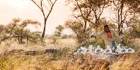 Bush Dinner