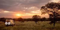 Sunset Game Drive