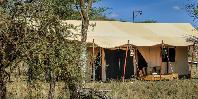 Guest tent exterior