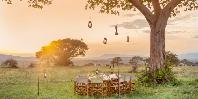 Bush Dinner
