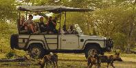 Game drives
