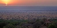 Wonderful landscape