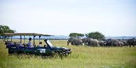 Game drive