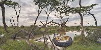 Drinks by the river