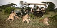 Game drive
